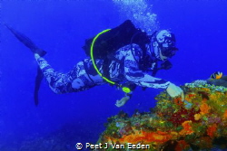 In Amazement
Scuba diver is amazed by the beauty of a sm... by Peet J Van Eeden 